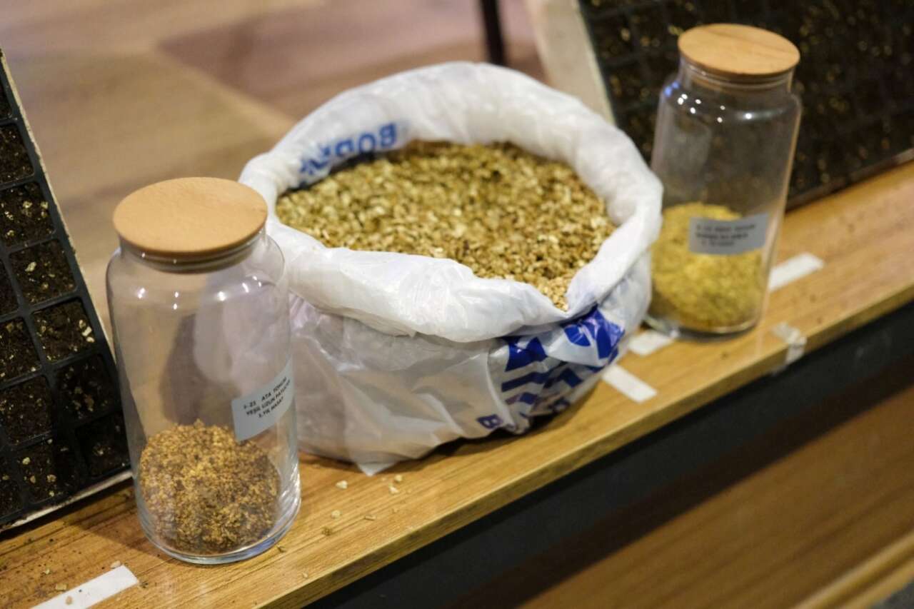 Bodrum’da Orman Haftası Etkinliği: Çocuklara Doğa Bilinci Aşılandı 4